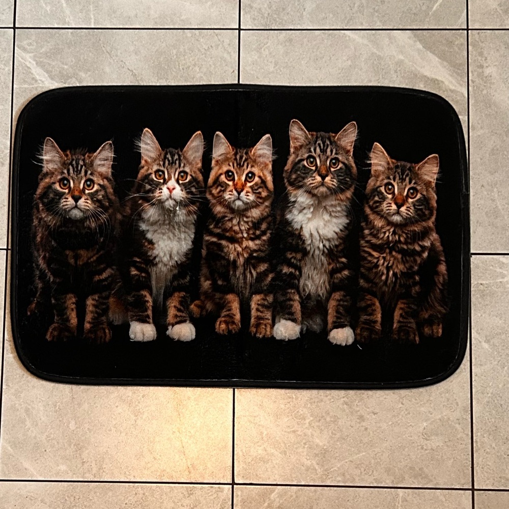 Beautiful Cat Door Mat